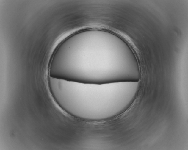 X0000115591335200911100923