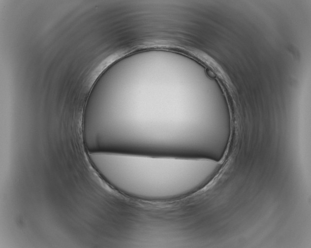 X0000115591337200911100923