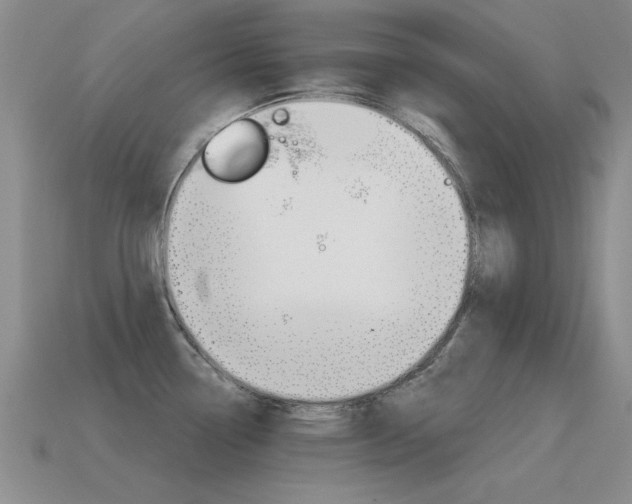 X0000115591338200911100923