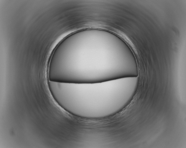 X0000115591339200911100923