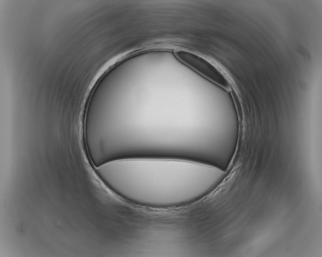 X0000115591341200911100923