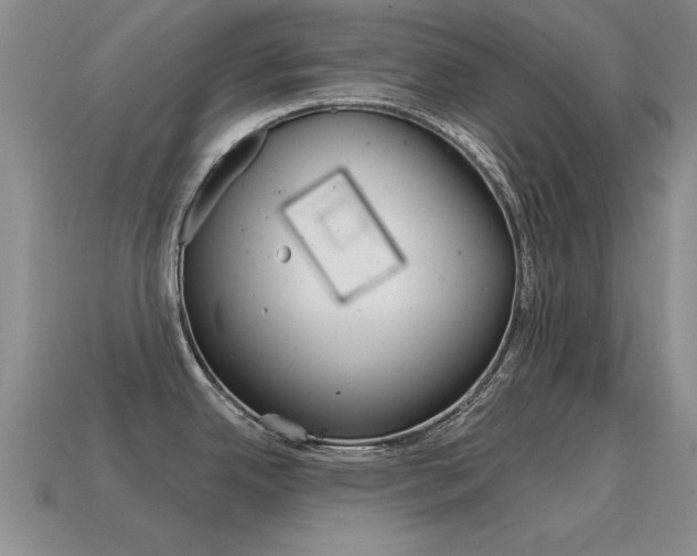 X0000115591342200911100923