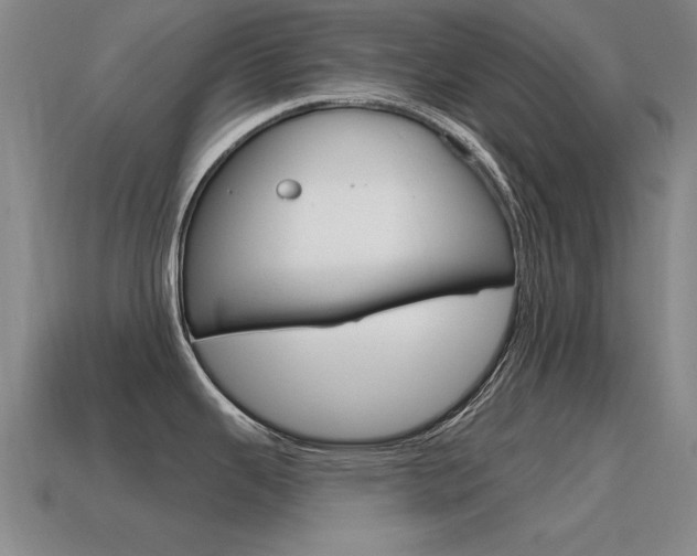 X0000115591343200911100923