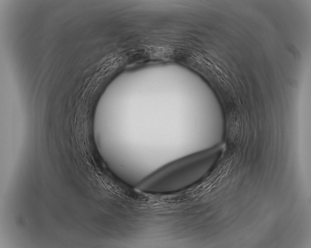 X0000115591345200911100923