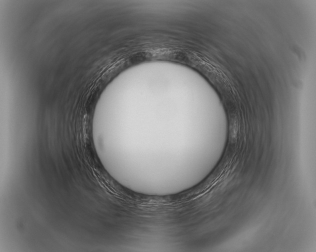 X0000115591346200911100923