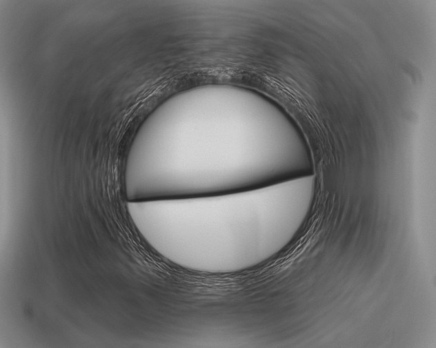 X0000115591347200911100923