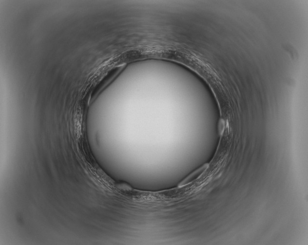 X0000115591348200911100923