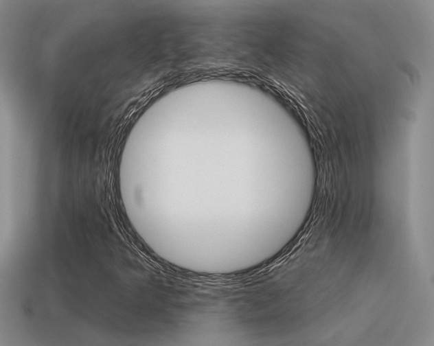 X0000115591349200911100923