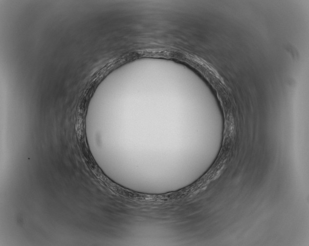 X0000115591350200911100923