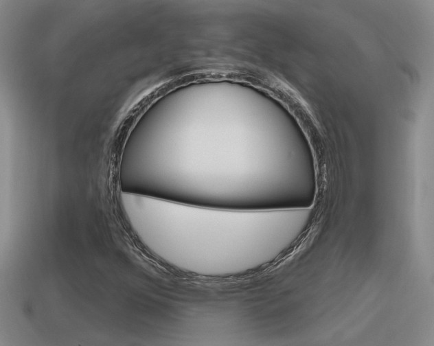 X0000115591352200911100923