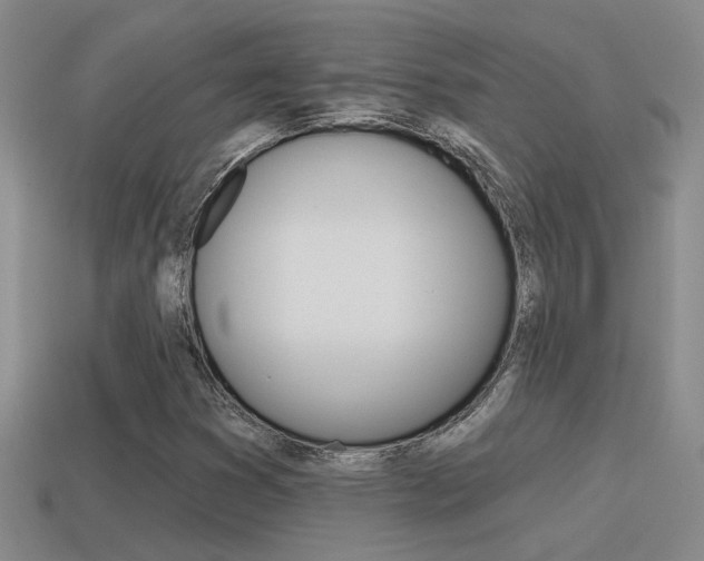 X0000115591353200911100923