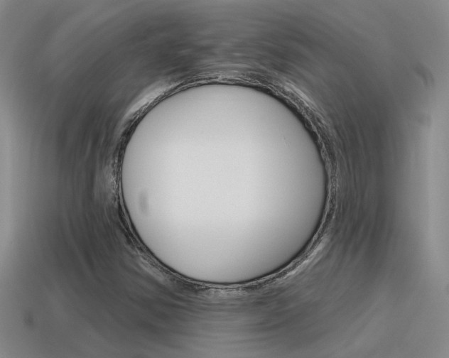 X0000115591354200911100922