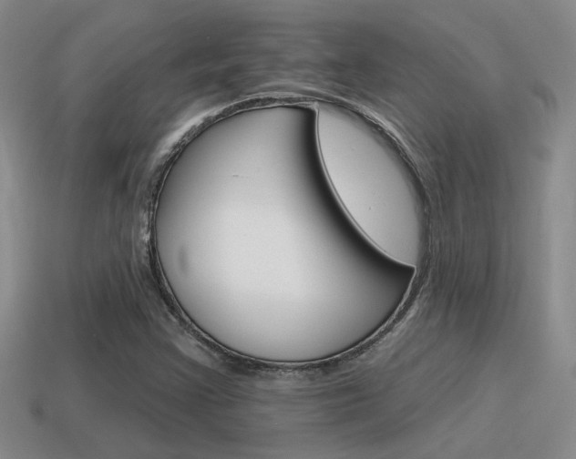 X0000115591355200911100922