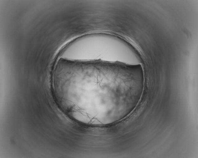 X0000115591356200911100922