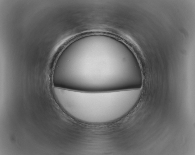 X0000115591360200911100922
