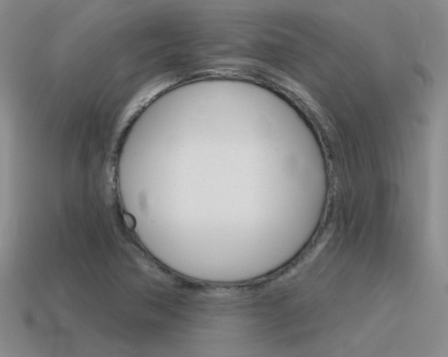 X0000115591362200911100922