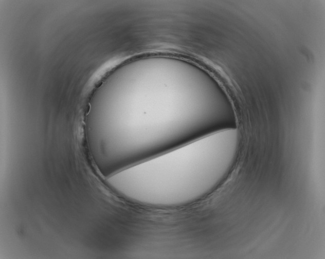 X0000115591363200911100922