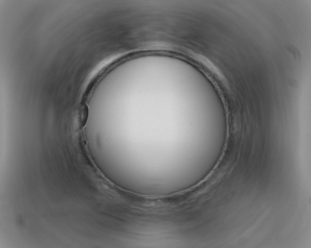 X0000115591364200911100922