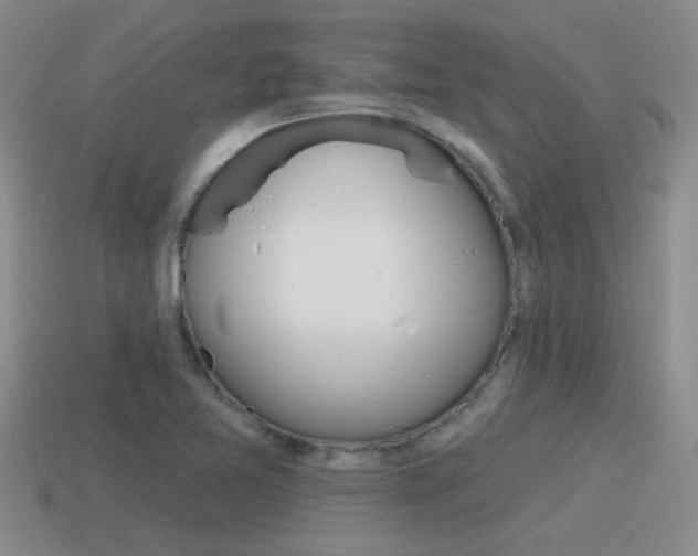 X0000115591365200911100922