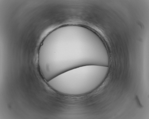 X0000115591366200911100922