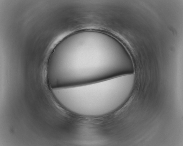 X0000115591367200911100922