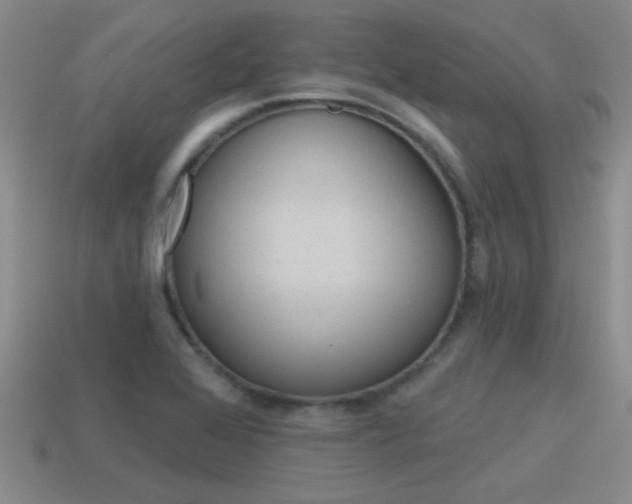 X0000115591368200911100922