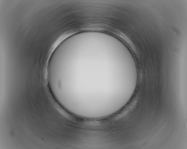 X0000115591370200911100922