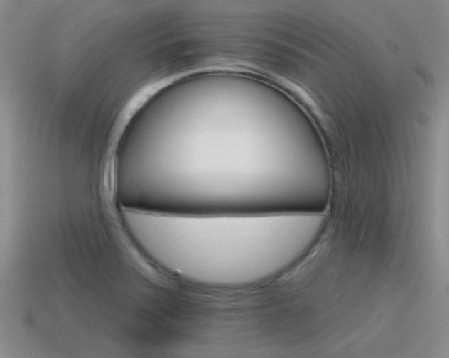 X0000115591371200911100922