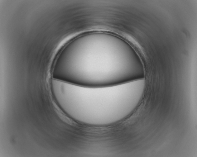 X0000115591372200911100922