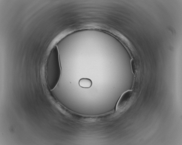 X0000115591373200911100922