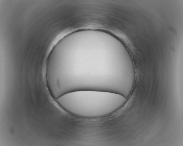 X0000115591374200911100922