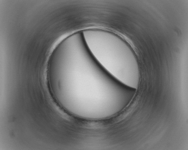 X0000115591375200911100922