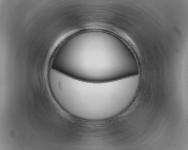 X0000115591376200911100922