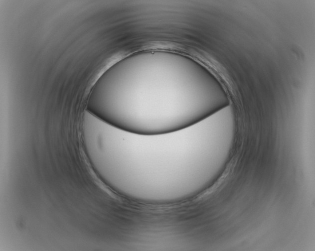 X0000115591377200911100922