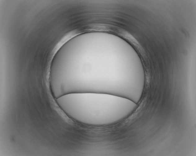 X0000115591378200911100922