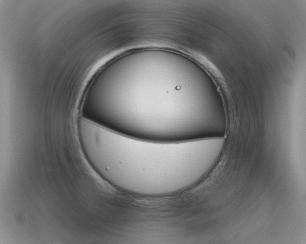X0000115591380200911100922