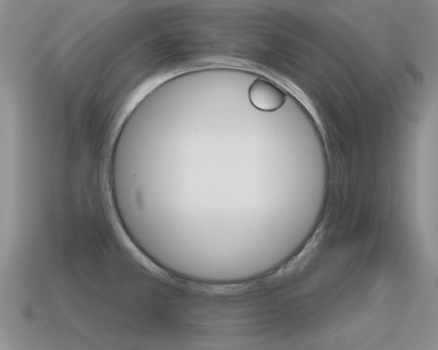 X0000115591381200911100922