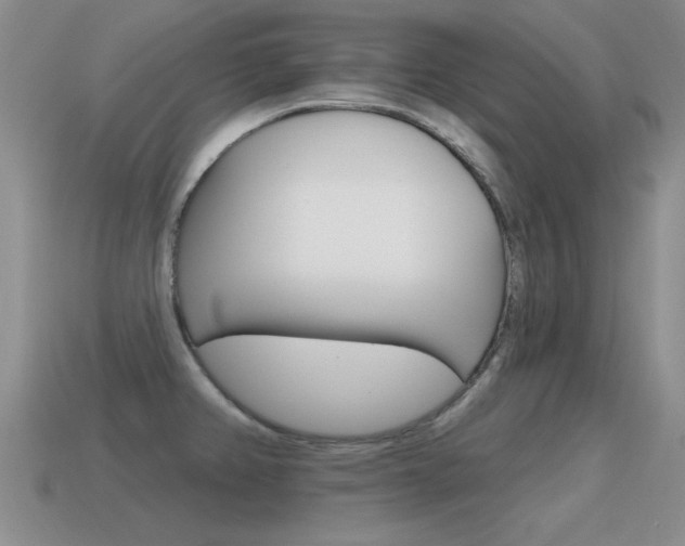 X0000115591382200911100922