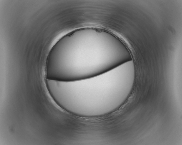 X0000115591383200911100922