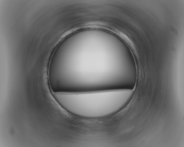 X0000115591384200911100922