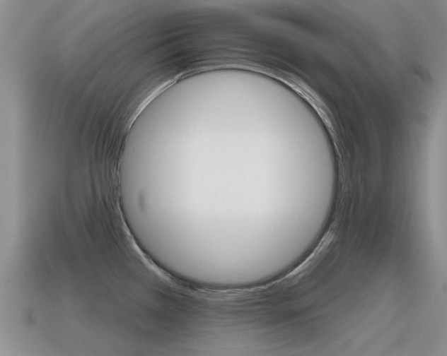 X0000115591385200911100922