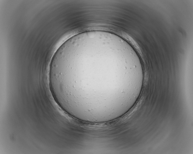 X0000115591386200911100922