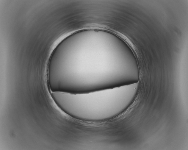 X0000115591387200911100922