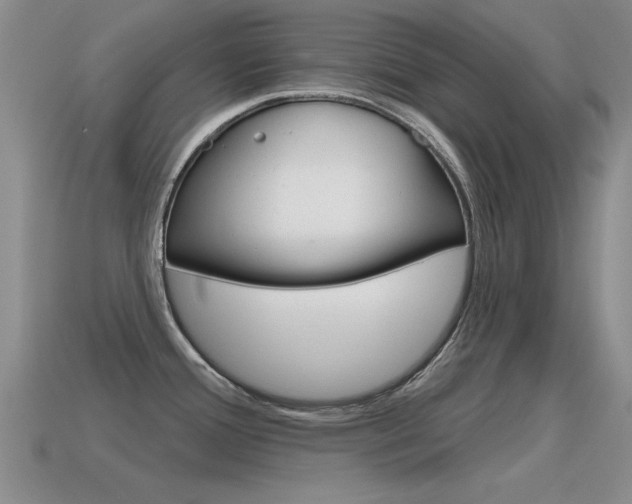 X0000115591388200911100922