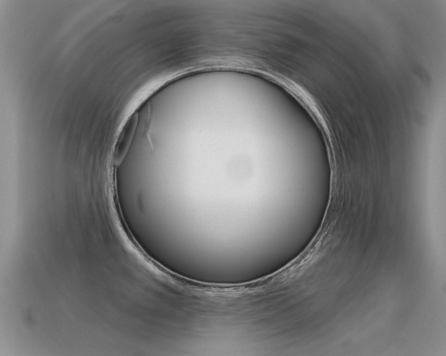 X0000115591389200911100922