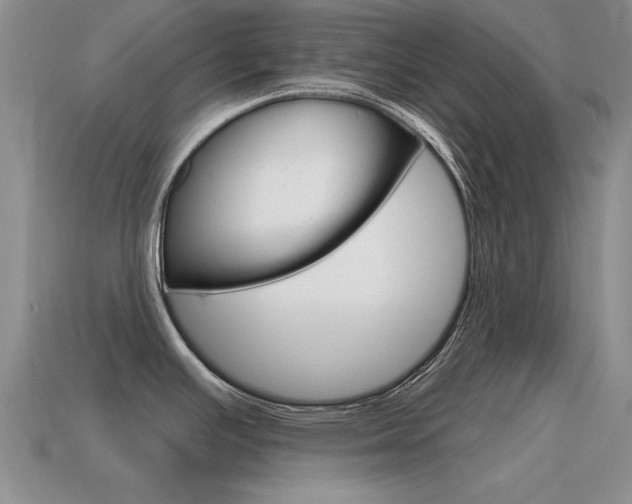 X0000115591391200911100922