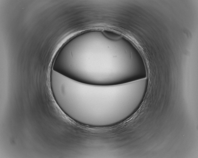 X0000115591392200911100922