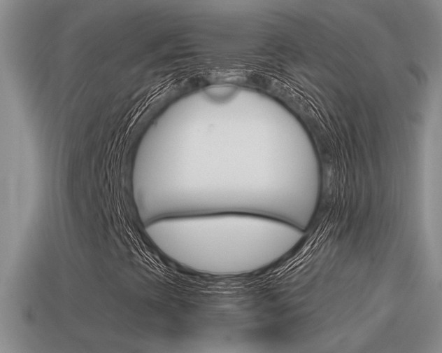 X0000115591393200911100921