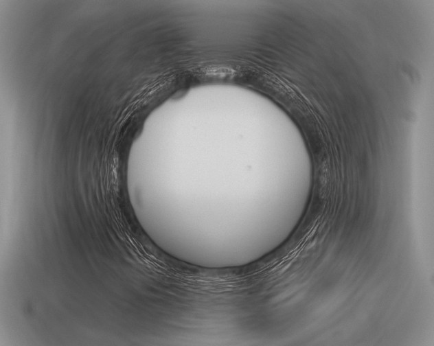 X0000115591394200911100921