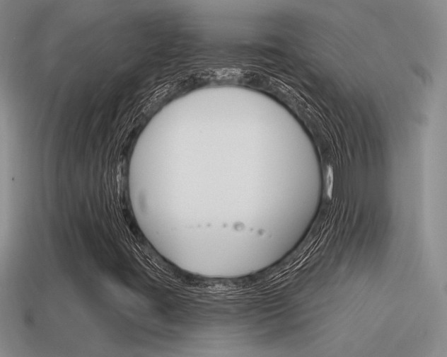 X0000115591395200911100921